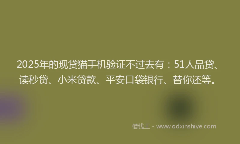 2025年的现贷猫手机验证不过去有：51人品贷、读秒贷、小米贷款、平安口袋银行、替你还等。