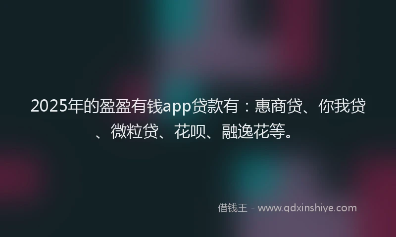 2025年的盈盈有钱app贷款有：惠商贷、你我贷、微粒贷、花呗、融逸花等。