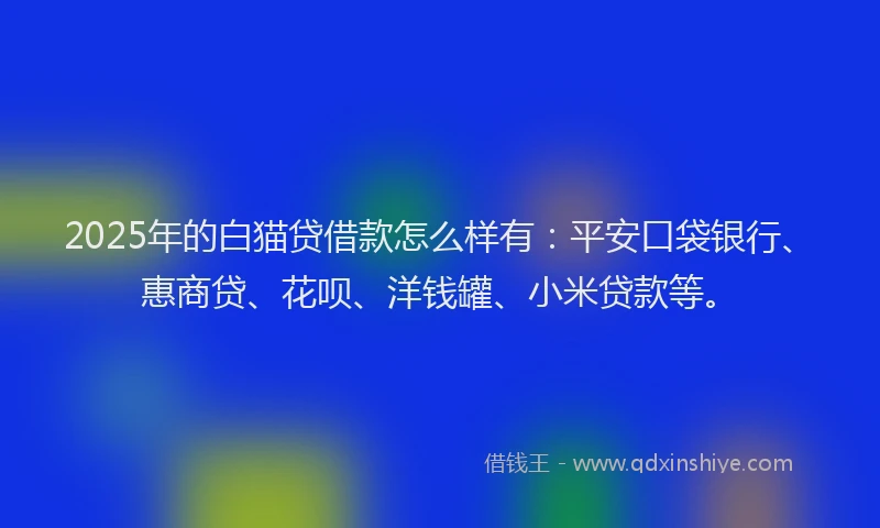 2025年的白猫贷借款怎么样有：平安口袋银行、惠商贷、花呗、洋钱罐、小米贷款等。