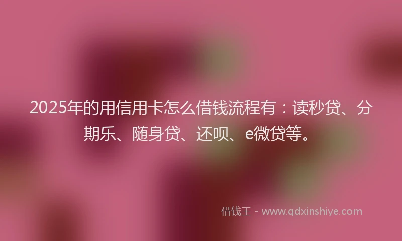 2025年的用信用卡怎么借钱流程有：读秒贷、分期乐、随身贷、还呗、e微贷等。