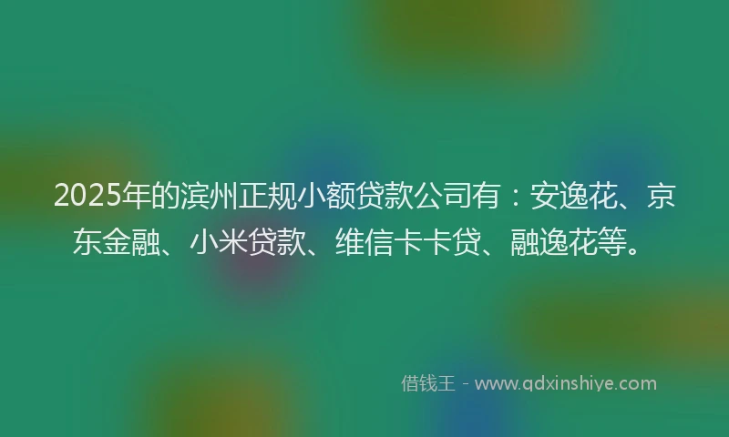 2025年的滨州正规小额贷款公司有：安逸花、京东金融、小米贷款、维信卡卡贷、融逸花等。