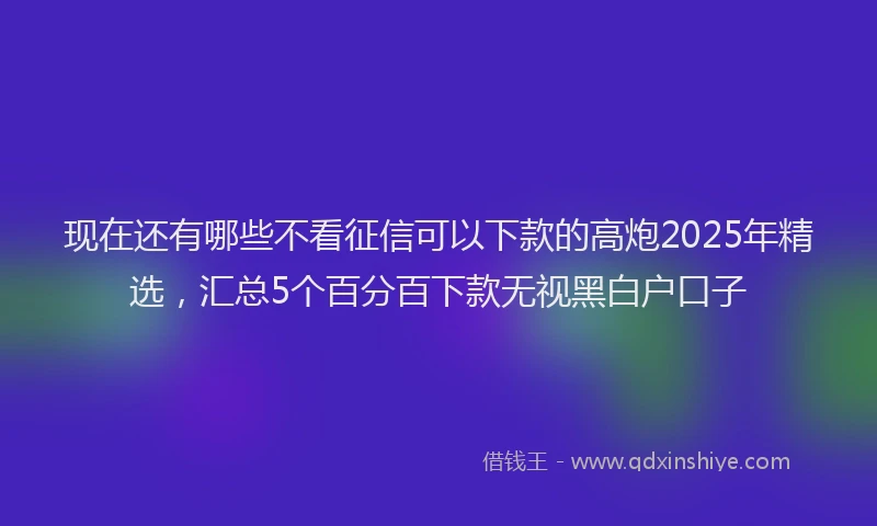 现在还有哪些不看征信可以下款的高炮2025年精选，汇总5个百分百下款无视黑白户口子