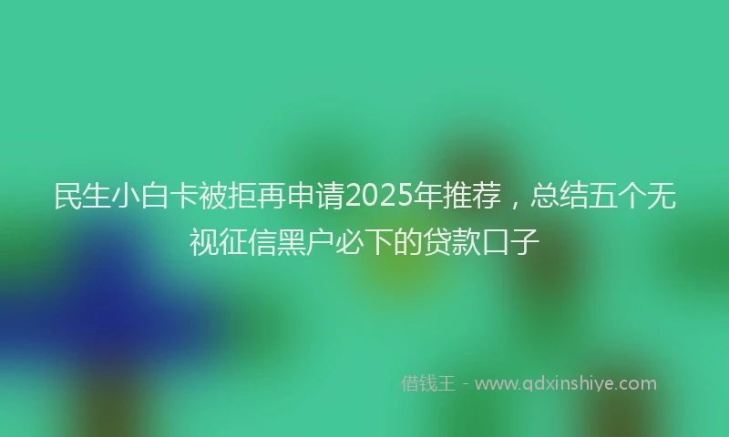 民生小白卡被拒再申请2025年推荐，总结五个无视征信黑户必下的贷款口子