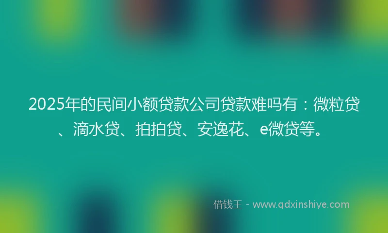 2025年的民间小额贷款公司贷款难吗有：微粒贷、滴水贷、拍拍贷、安逸花、e微贷等。