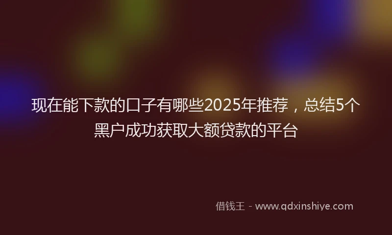 现在能下款的口子有哪些2025年推荐，总结5个黑户成功获取大额贷款的平台