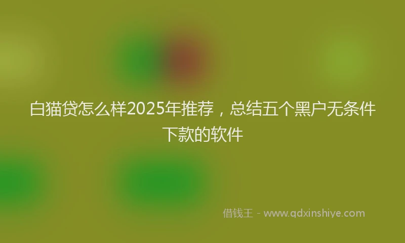白猫贷怎么样2025年推荐，总结五个黑户无条件下款的软件