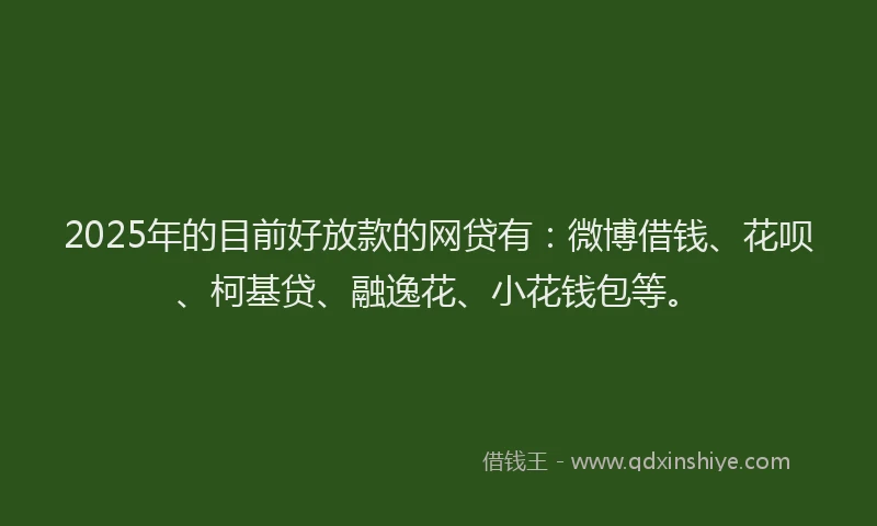 2025年的目前好放款的网贷有：微博借钱、花呗、柯基贷、融逸花、小花钱包等。