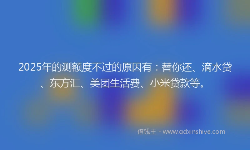 2025年的测额度不过的原因有：替你还、滴水贷、东方汇、美团生活费、小米贷款等。