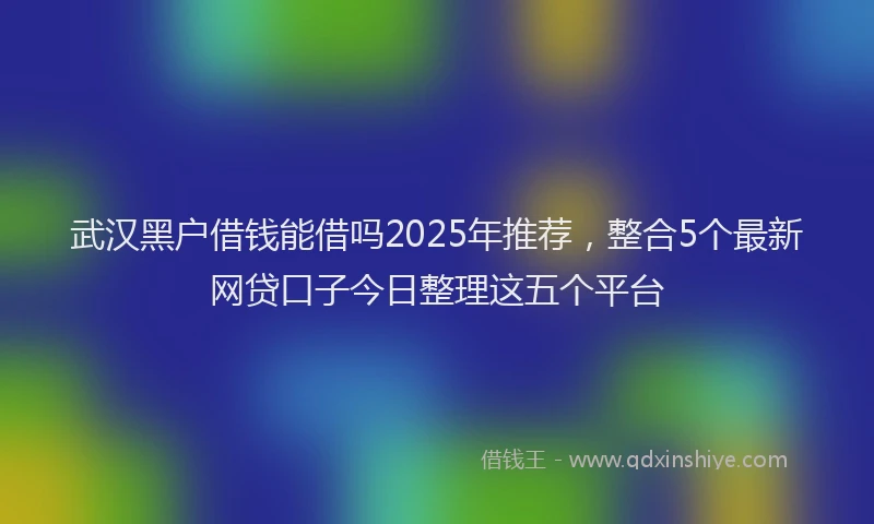 武汉黑户借钱能借吗2025年推荐，整合5个最新网贷口子今日整理这五个平台