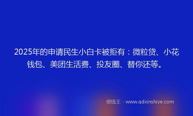 2025年的申请民生小白卡被拒有：微粒贷、小花钱包、美团生活费、投友圈、替你还等。