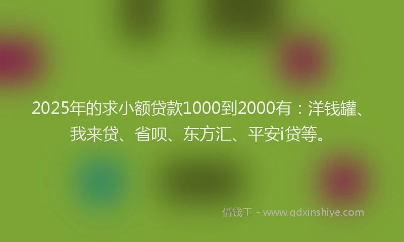 2025年的求小额贷款1000到2000有：洋钱罐、我来贷、省呗、东方汇、平安i贷等。
