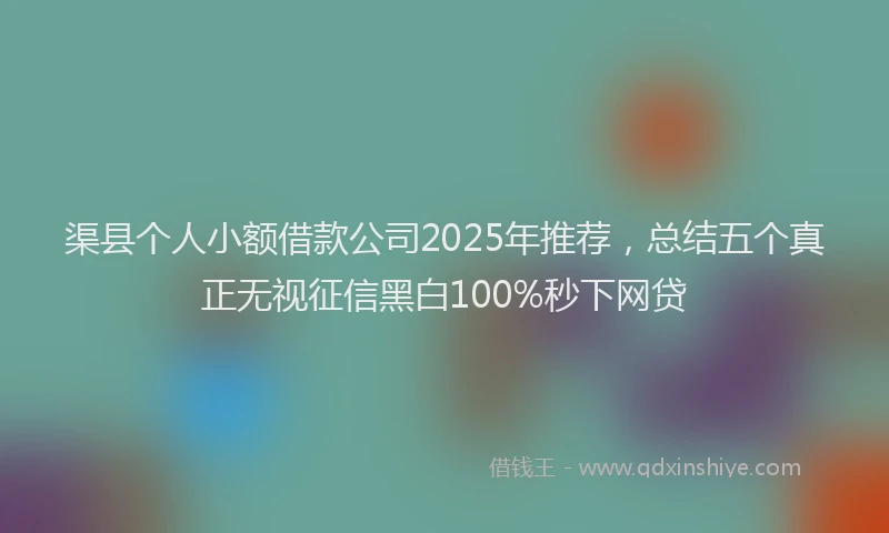 渠县个人小额借款公司2025年推荐，总结五个真正无视征信黑白100%秒下网贷