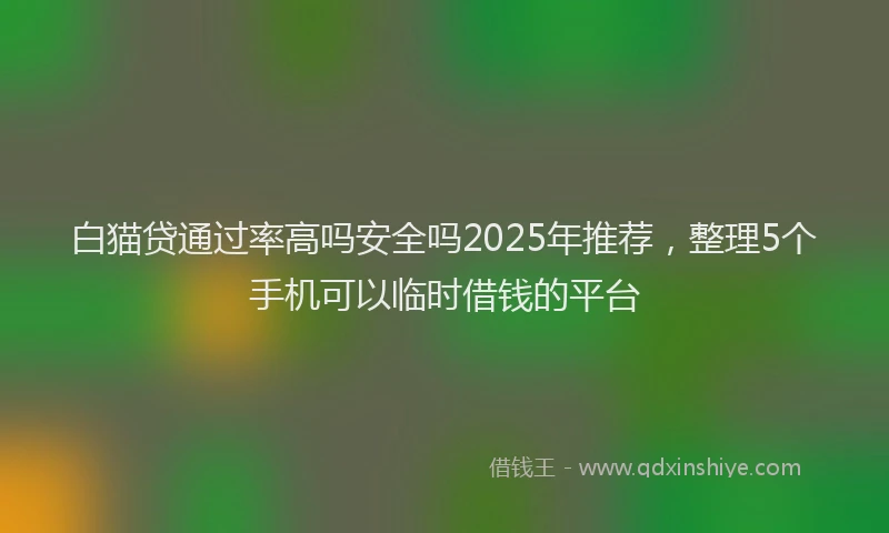 白猫贷通过率高吗安全吗2025年推荐，整理5个手机可以临时借钱的平台