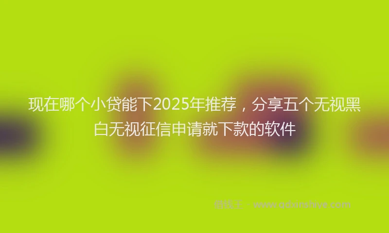 现在哪个小贷能下2025年推荐，分享五个无视黑白无视征信申请就下款的软件