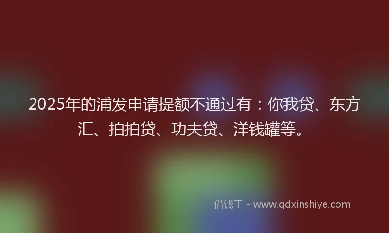 2025年的浦发申请提额不通过有：你我贷、东方汇、拍拍贷、功夫贷、洋钱罐等。