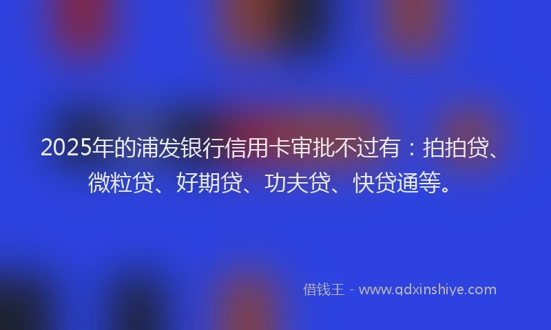 2025年的浦发银行信用卡审批不过有：拍拍贷、微粒贷、好期贷、功夫贷、快贷通等。