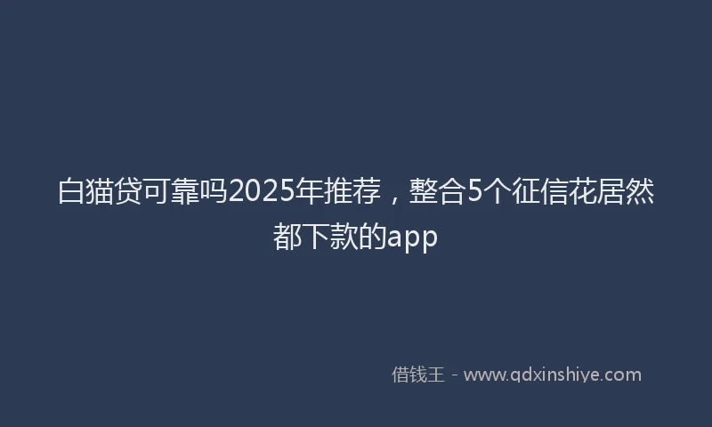 白猫贷可靠吗2025年推荐，整合5个征信花居然都下款的app