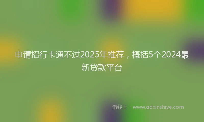 申请招行卡通不过2025年推荐，概括5个2024最新贷款平台