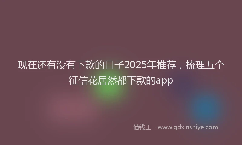 现在还有没有下款的口子2025年推荐，梳理五个征信花居然都下款的app