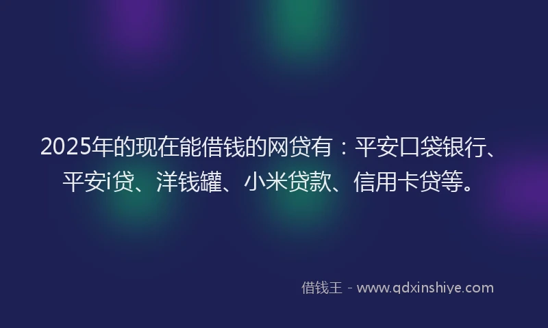 2025年的现在能借钱的网贷有：平安口袋银行、平安i贷、洋钱罐、小米贷款、信用卡贷等。