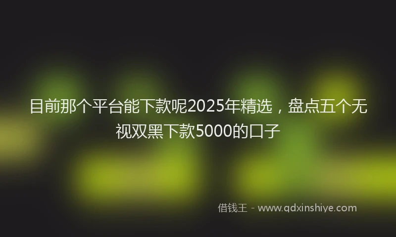 目前那个平台能下款呢2025年精选，盘点五个无视双黑下款5000的口子
