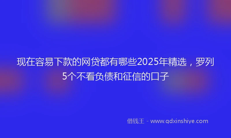 现在容易下款的网贷都有哪些2025年精选，罗列5个不看负债和征信的口子