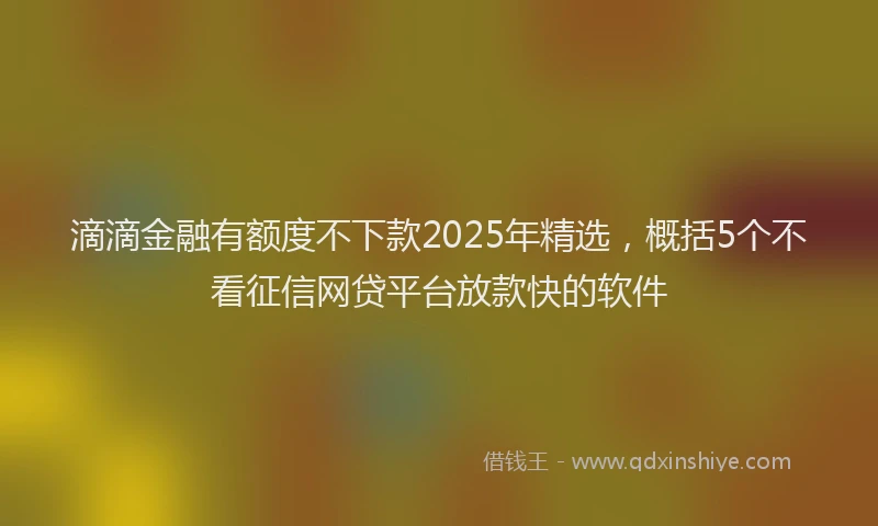 滴滴金融有额度不下款2025年精选，概括5个不看征信网贷平台放款快的软件
