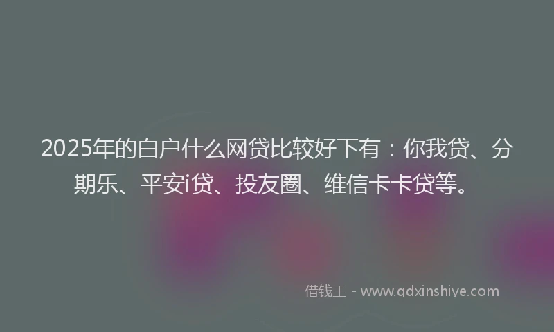2025年的白户什么网贷比较好下有：你我贷、分期乐、平安i贷、投友圈、维信卡卡贷等。