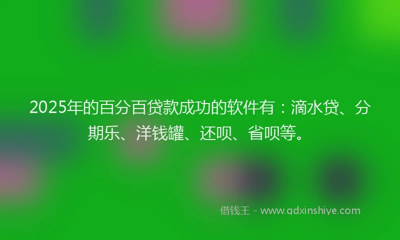 2025年的百分百贷款成功的软件有：滴水贷、分期乐、洋钱罐、还呗、省呗等。