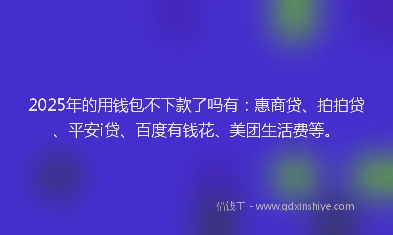 2025年的用钱包不下款了吗有：惠商贷、拍拍贷、平安i贷、百度有钱花、美团生活费等。