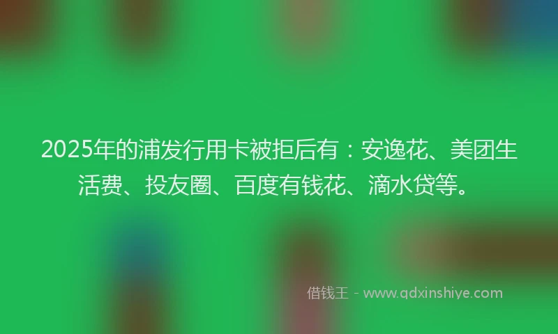 2025年的浦发行用卡被拒后有：安逸花、美团生活费、投友圈、百度有钱花、滴水贷等。