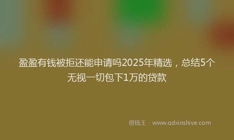 盈盈有钱被拒还能申请吗2025年精选，总结5个无视一切包下1万的贷款