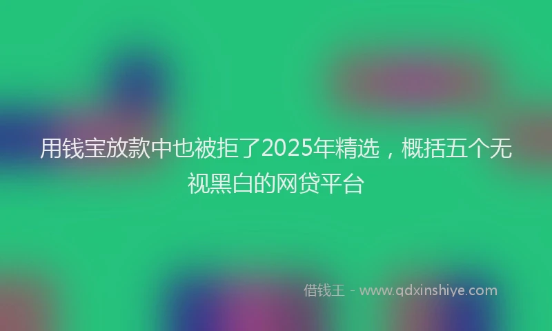 用钱宝放款中也被拒了2025年精选，概括五个无视黑白的网贷平台