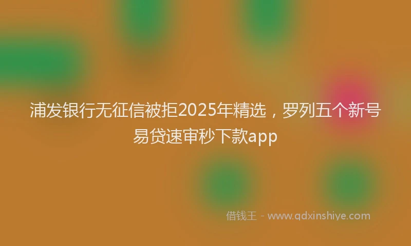 浦发银行无征信被拒2025年精选，罗列五个新号易贷速审秒下款app