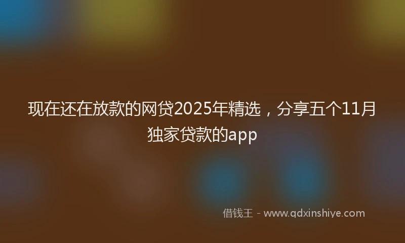 现在还在放款的网贷2025年精选，分享五个11月独家贷款的app