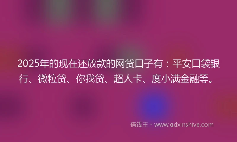2025年的现在还放款的网贷口子有：平安口袋银行、微粒贷、你我贷、超人卡、度小满金融等。