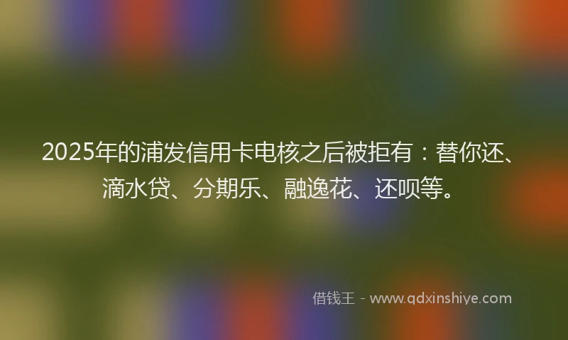 2025年的浦发信用卡电核之后被拒有：替你还、滴水贷、分期乐、融逸花、还呗等。