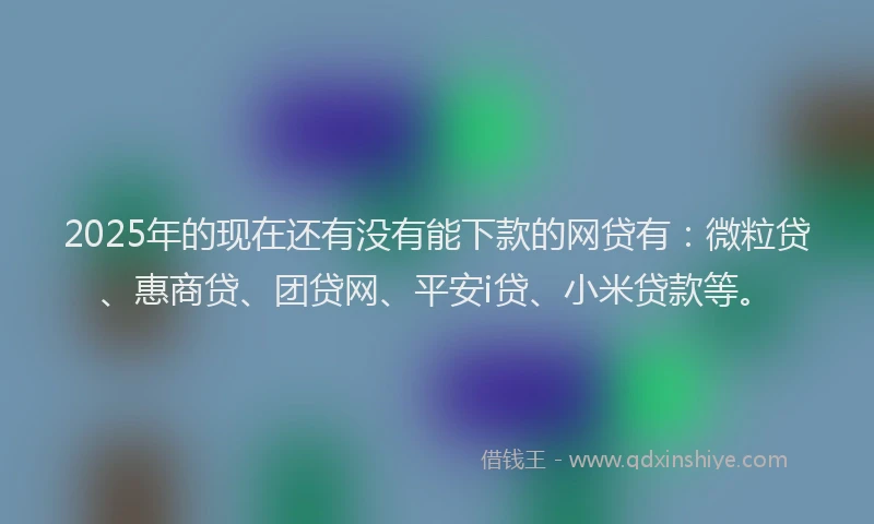 2025年的现在还有没有能下款的网贷有：微粒贷、惠商贷、团贷网、平安i贷、小米贷款等。