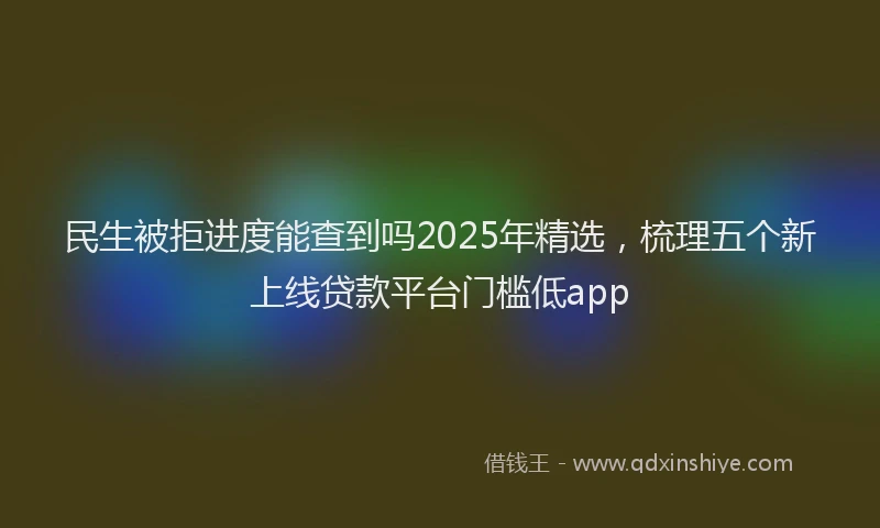 民生被拒进度能查到吗2025年精选，梳理五个新上线贷款平台门槛低app
