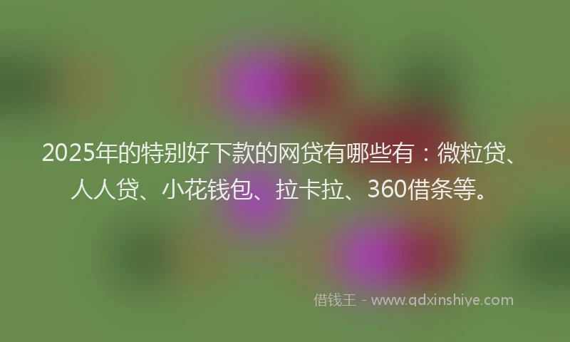 2025年的特别好下款的网贷有哪些有：微粒贷、人人贷、小花钱包、拉卡拉、360借条等。