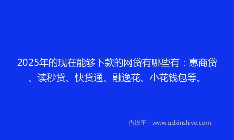 2025年的现在能够下款的网贷有哪些有：惠商贷、读秒贷、快贷通、融逸花、小花钱包等。