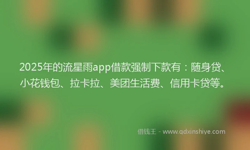 2025年的流星雨app借款强制下款有：随身贷、小花钱包、拉卡拉、美团生活费、信用卡贷等。