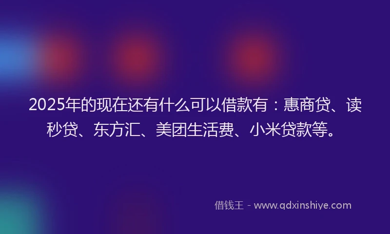 2025年的现在还有什么可以借款有：惠商贷、读秒贷、东方汇、美团生活费、小米贷款等。