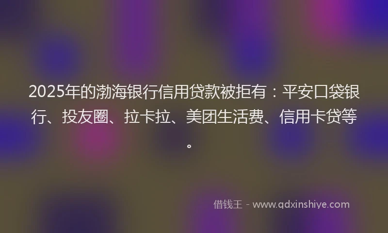2025年的渤海银行信用贷款被拒有：平安口袋银行、投友圈、拉卡拉、美团生活费、信用卡贷等。