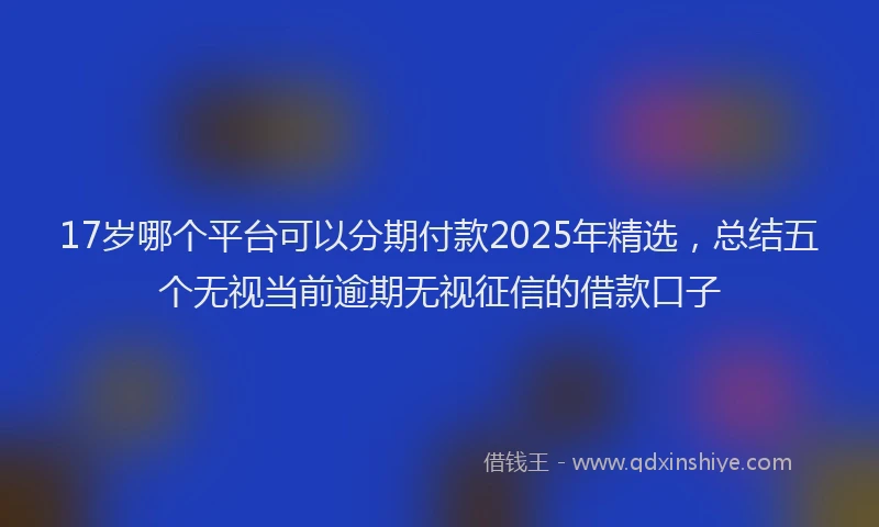 17岁哪个平台可以分期付款2025年精选，总结五个无视当前逾期无视征信的借款口子