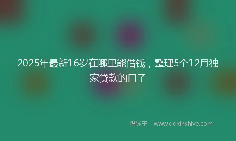 2025年最新16岁在哪里能借钱，整理5个12月独家贷款的口子