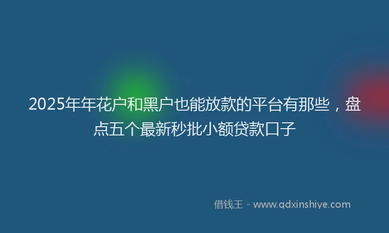2025年年花户和黑户也能放款的平台有那些，盘点五个最新秒批小额贷款口子