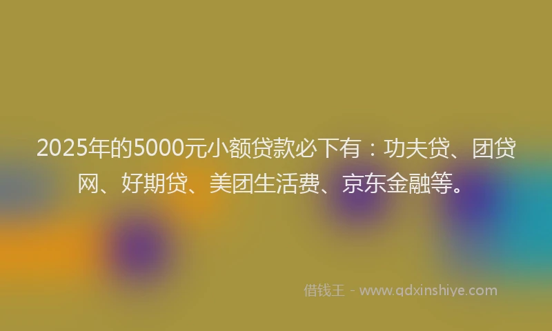 2025年的5000元小额贷款必下有：功夫贷、团贷网、好期贷、美团生活费、京东金融等。