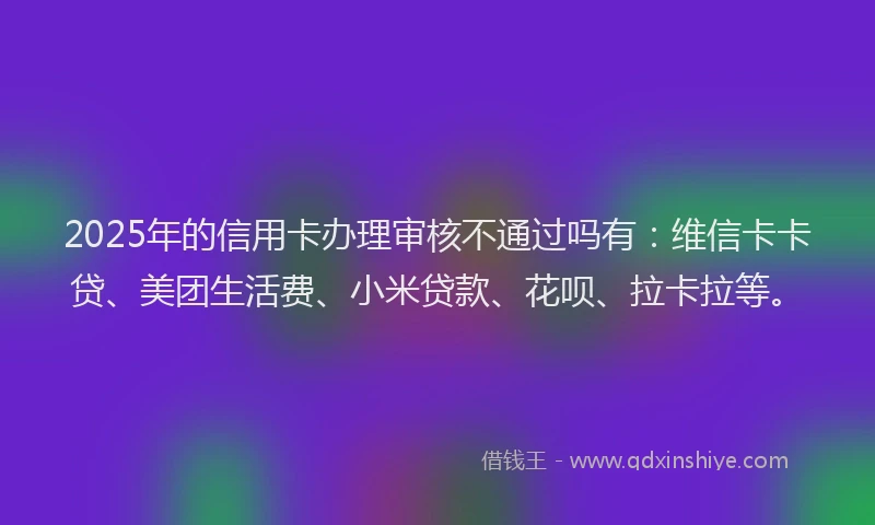 2025年的信用卡办理审核不通过吗有：维信卡卡贷、美团生活费、小米贷款、花呗、拉卡拉等。