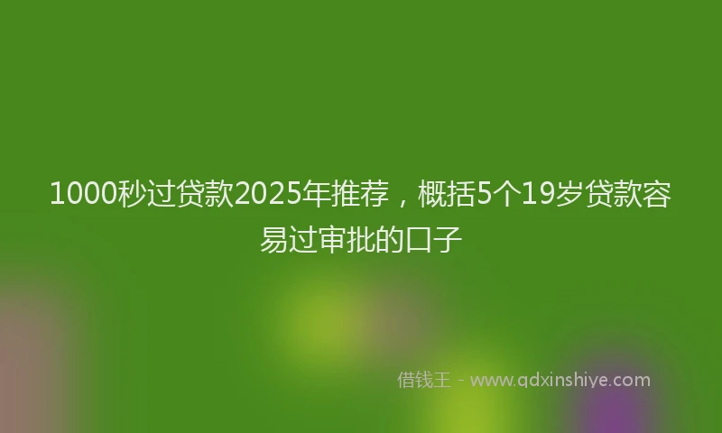 1000秒过贷款2025年推荐，概括5个19岁贷款容易过审批的口子